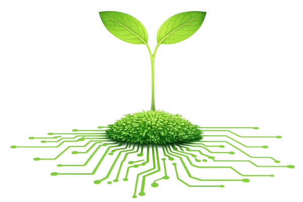 Green AI : responsible AI for the environment